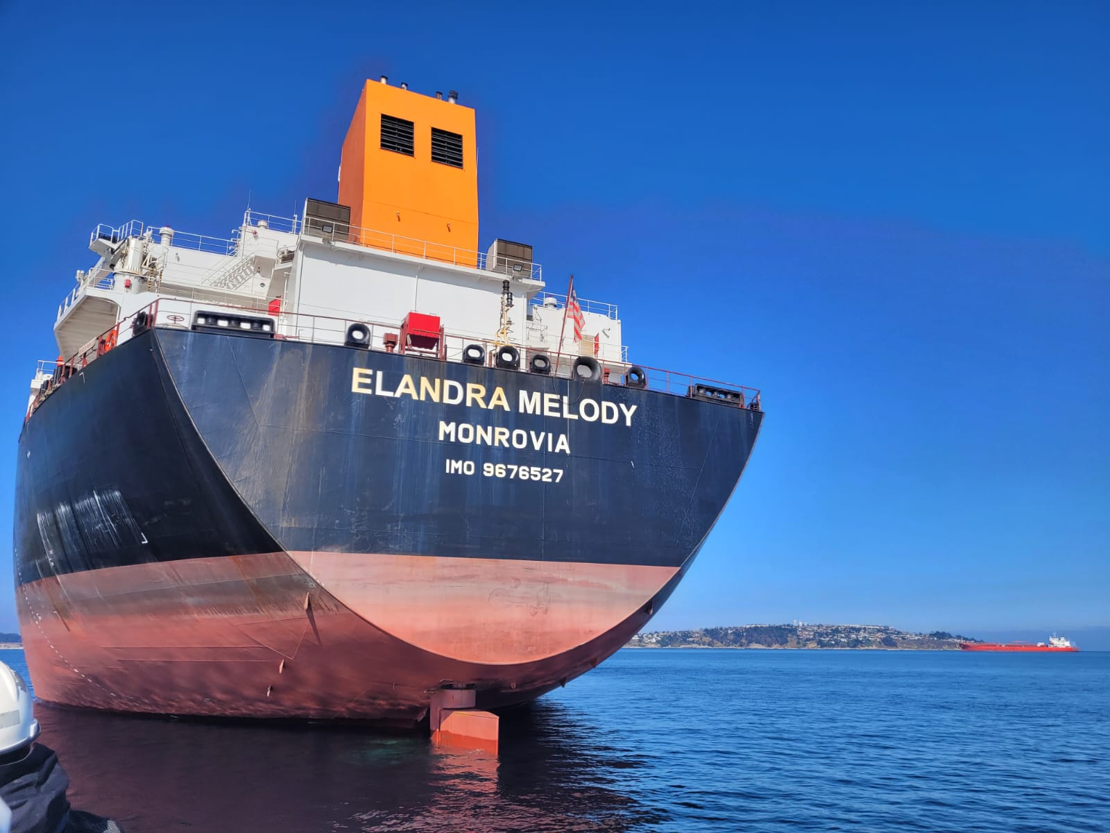 BZ in action | Mt Elandra Melody - Loss Control Survey