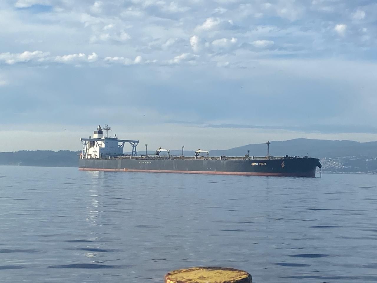 Personal de BZ Consulting en terreno durante la operación